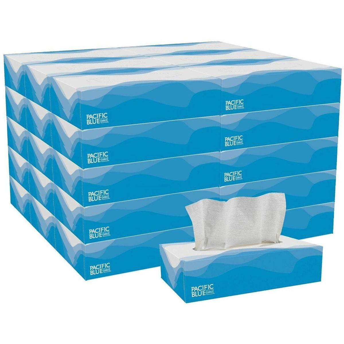 Georgia-Pacific Tissue Facial 2Ply