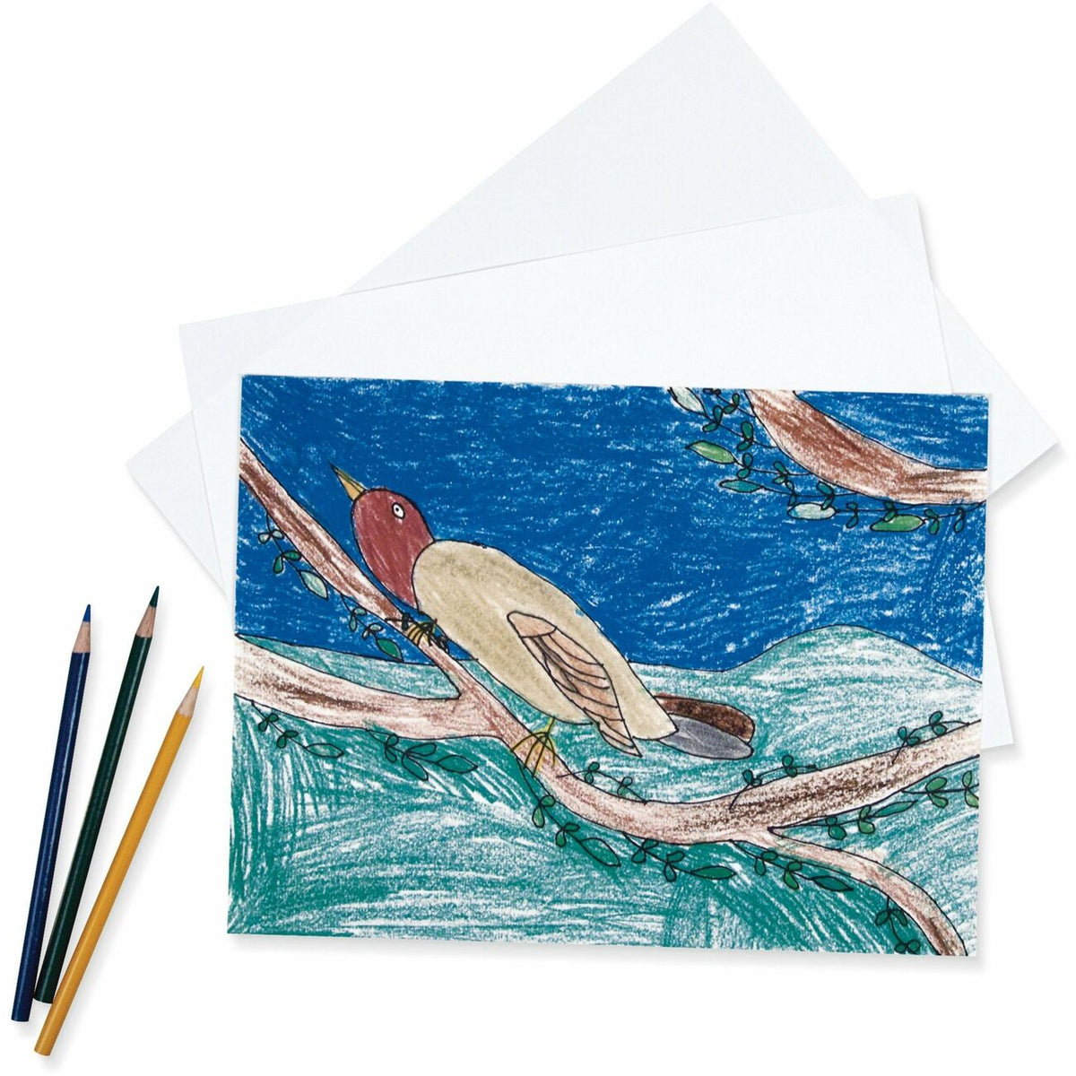 Pacon&reg; Heavyweight Drawing Paper