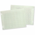 Wilson Jones 20-Column Ruled Sheets