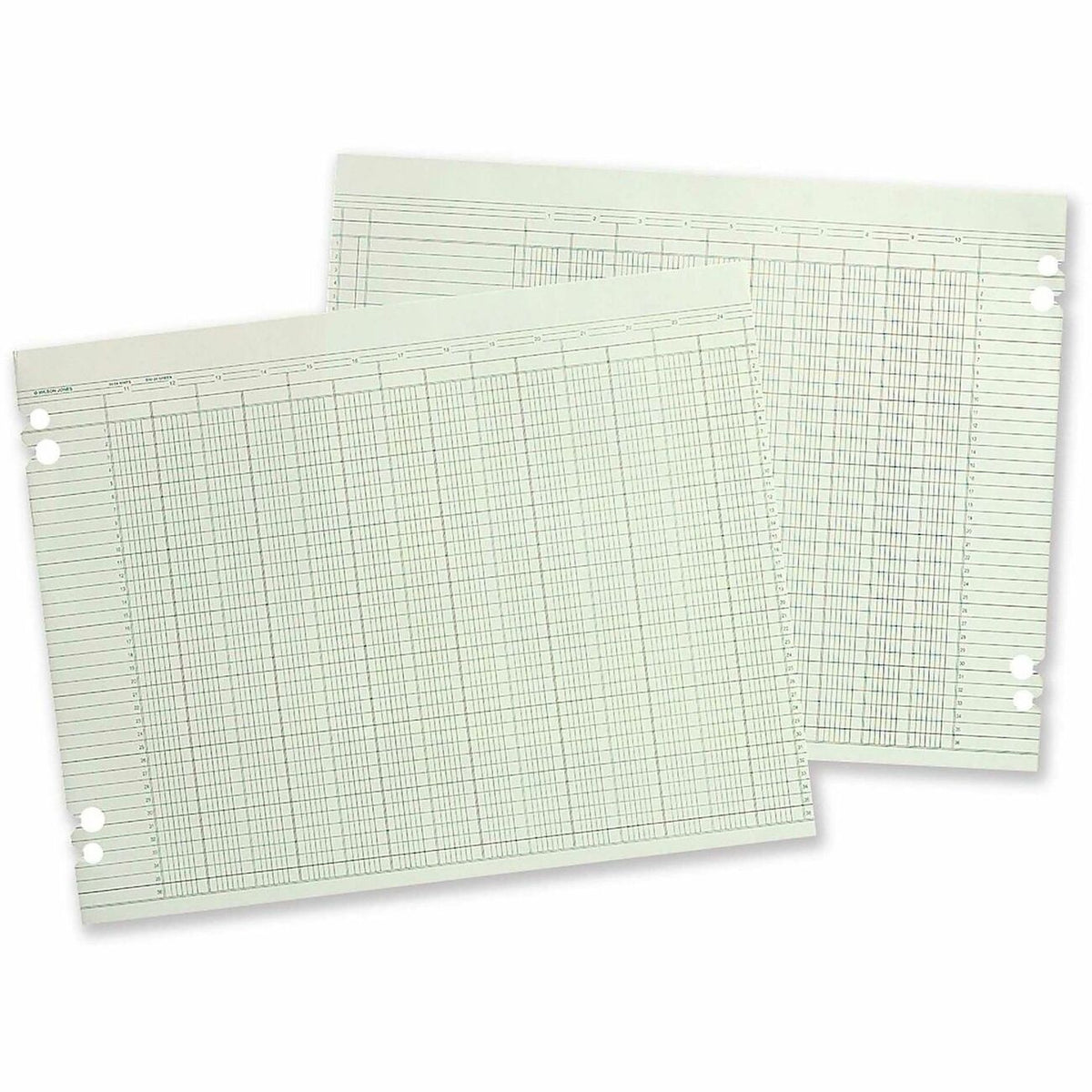 Wilson Jones 20-Column Ruled Sheets