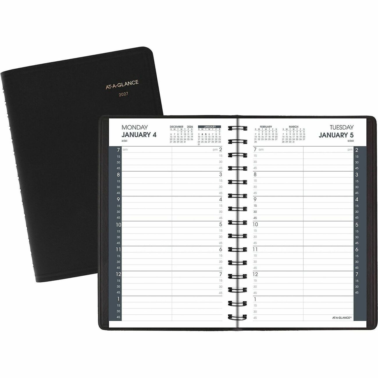 AT-A-GLANCE Planner Daily Sm