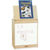 Easel Bigbook Write-N-Wipe