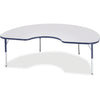Table Kidney 48X72 Gy/Ny