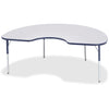 Table Kidney 48X72 Gy/Ny