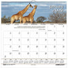 Calendar Wall Wildlife