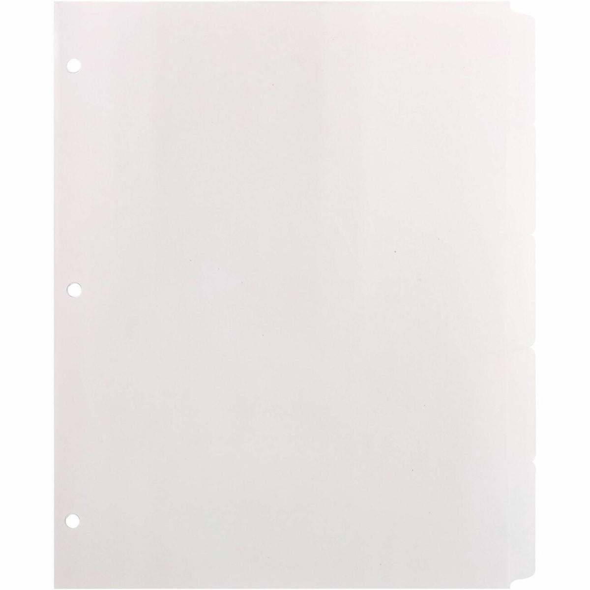 Business Source Divider Write-On 5Tab We