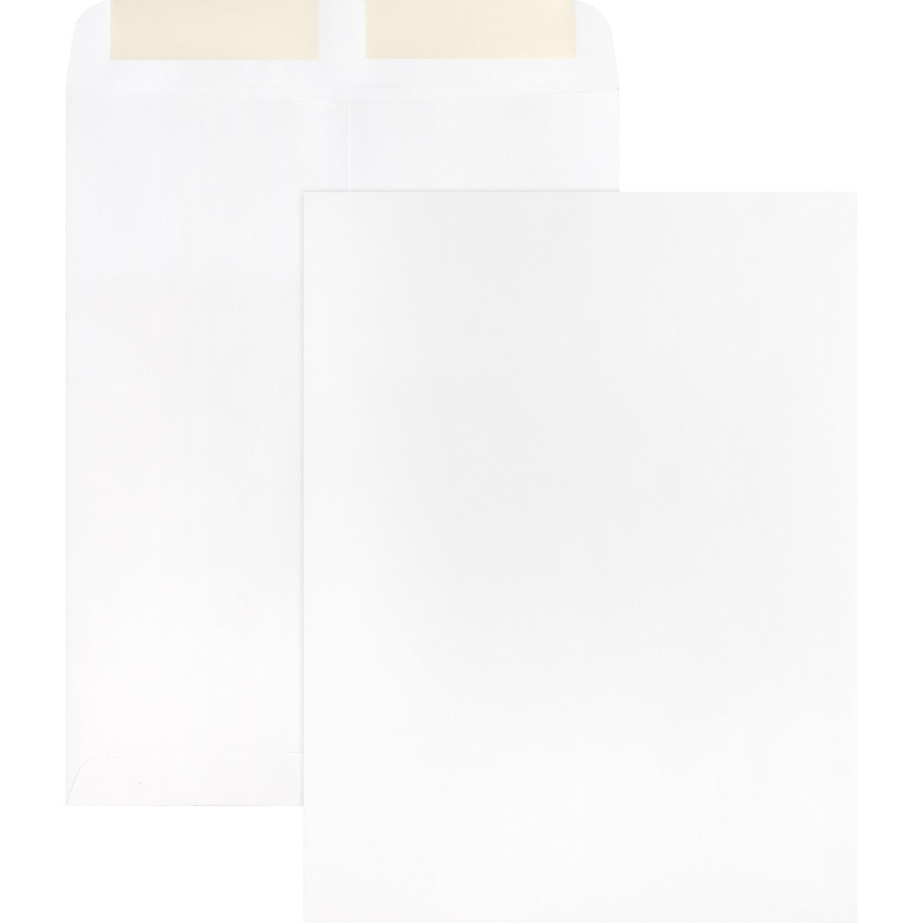 Business Source Envelope Catalog 9X12 We