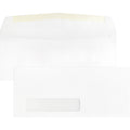 Business Source Envelope Side Seam Window
