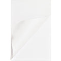 Business Source Pad Memo 4X6 Plain 100Sh We