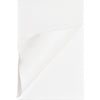 Business Source Pad Memo 5X8 Plain 100Sh We