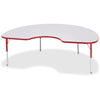 Table Kidney 48X72 Gy/Rd