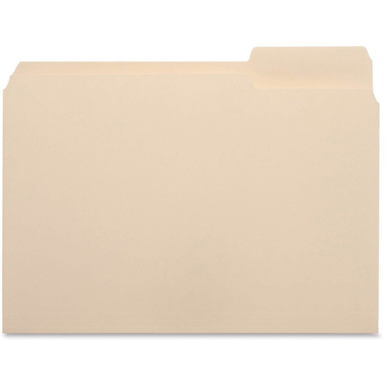 Business Source Folder File Ltr 1/3 Rt Mla