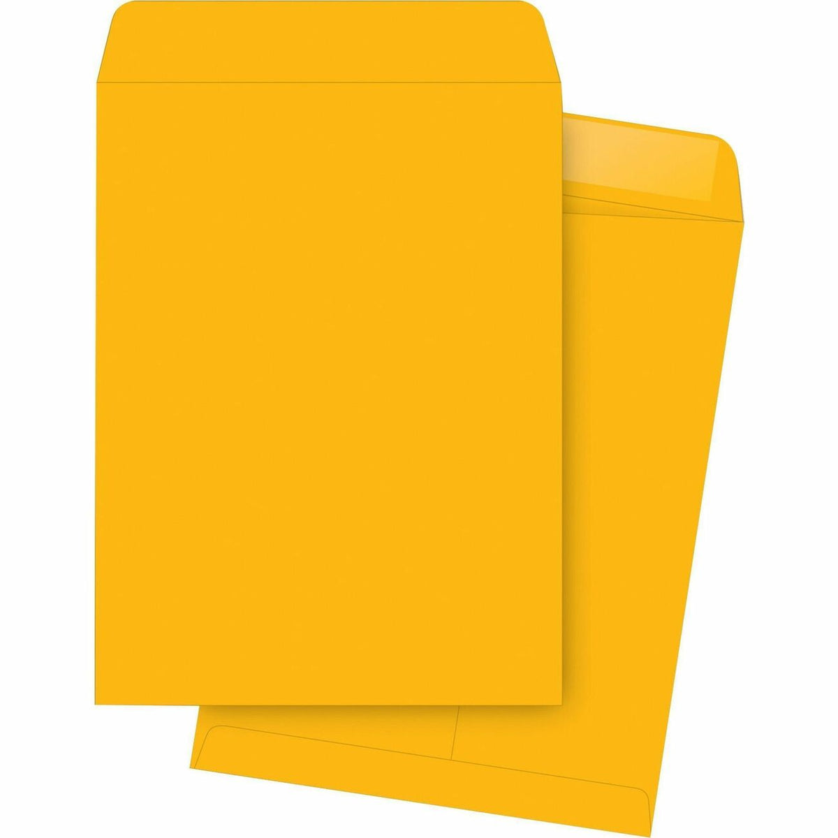 Business Source Envelope Catalog 10X15 Kft