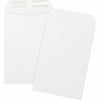 Business Source Envelope Catalog 6.5X9.5 We