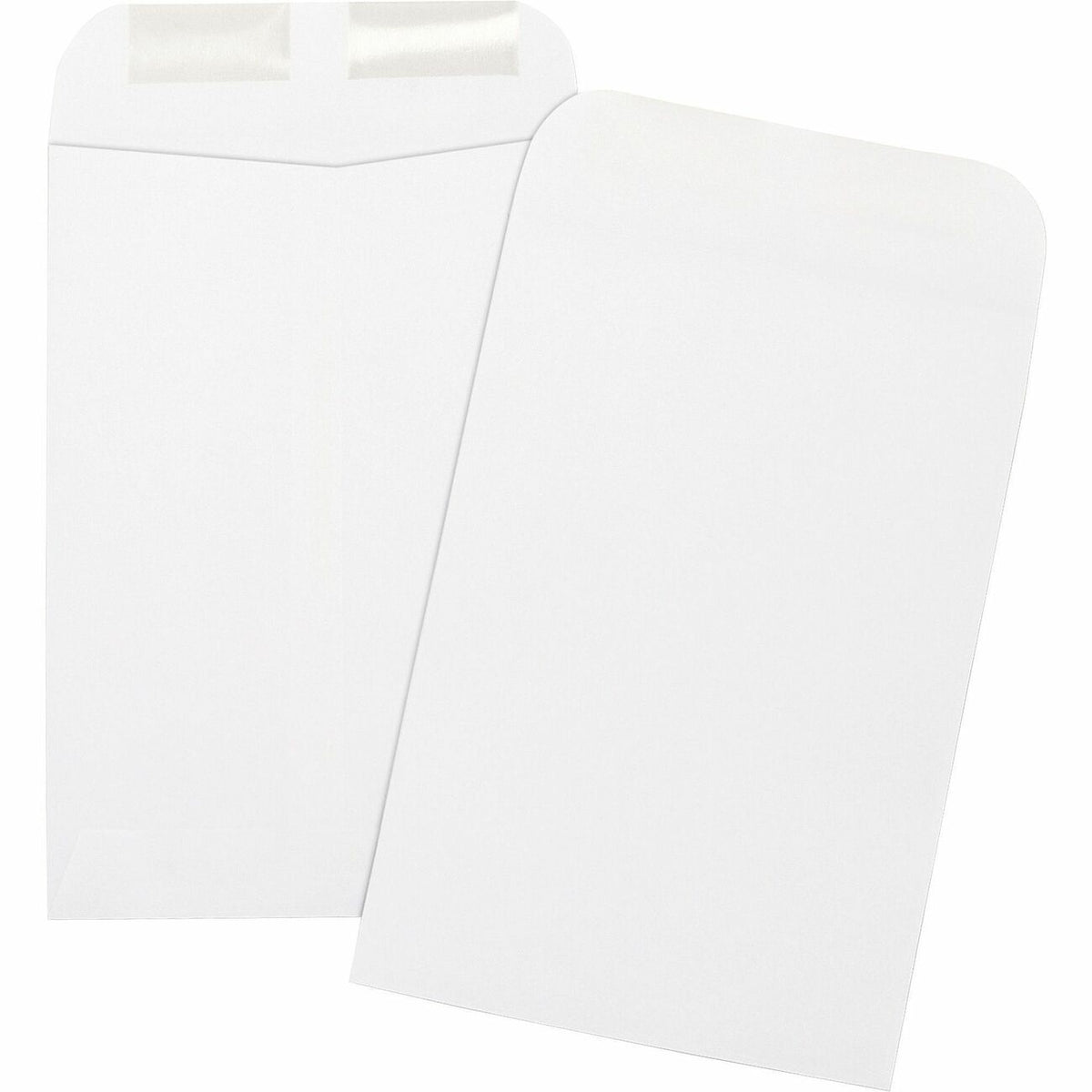 Business Source Envelope Catalog 6.5X9.5 We