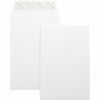 Business Source Envelope Catlg Selfsl 6X9