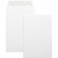 Business Source Envelope Catlg Selfsl 6X9