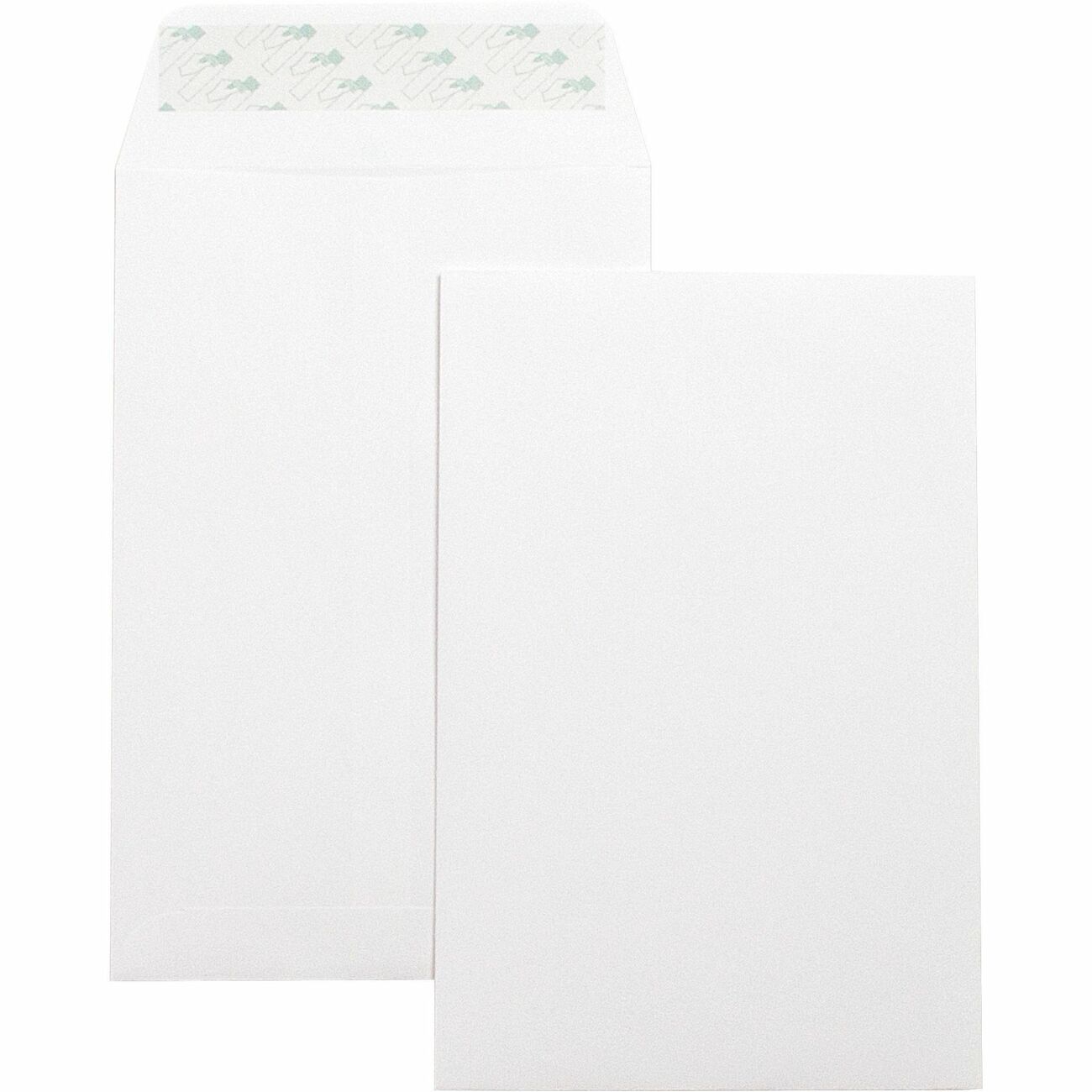Business Source Envelope Catlg Selfsl 6X9