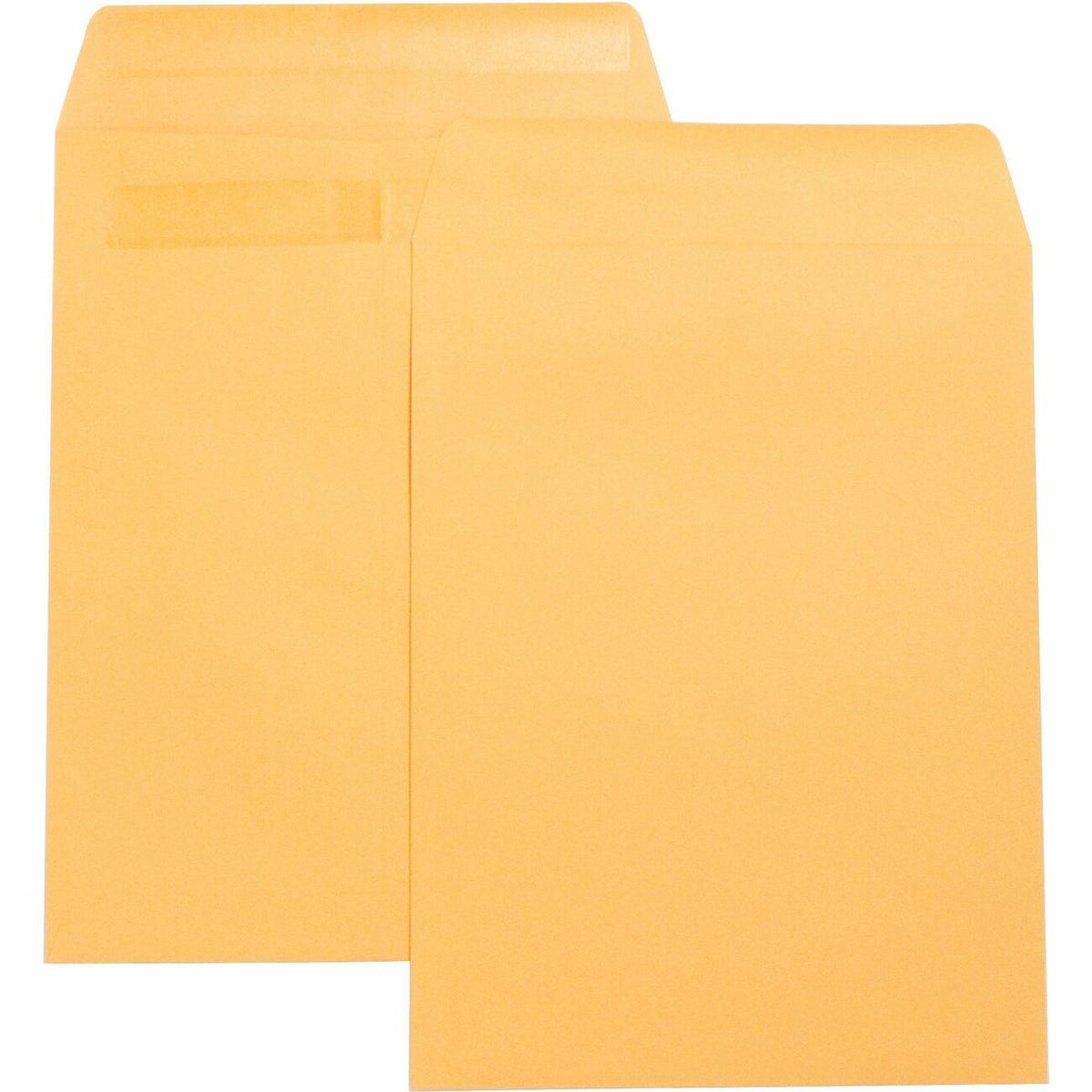 Business Source Envelope Catlg Selfsl 9X12