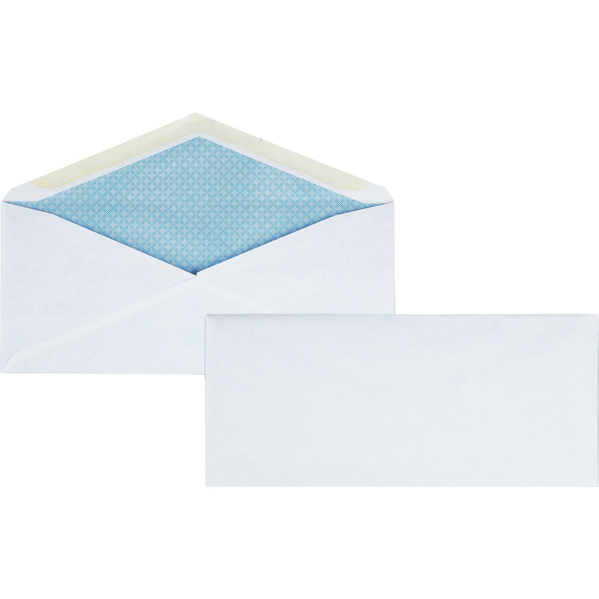 Business Source Envelope Securtnt Diag Reg
