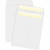Business Source Envelope Catlg Selfsl 10X13