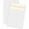 Business Source Envelope Catlg Selfsl 10X13