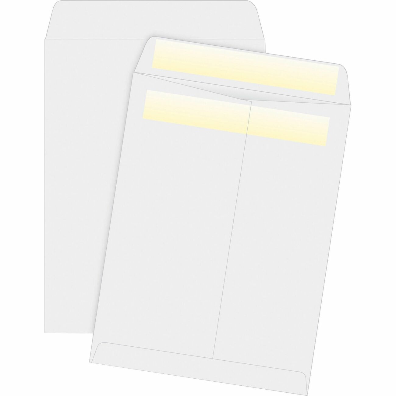 Business Source Envelope Catlg Selfsl 10X13