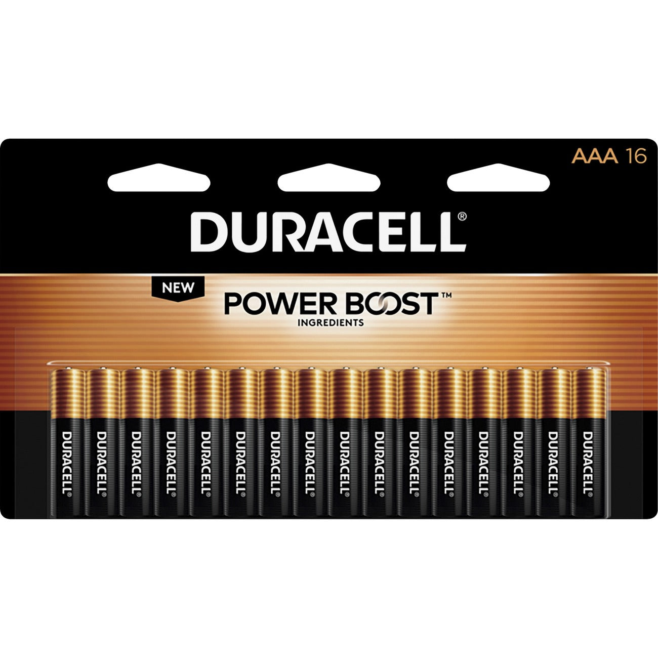 Battery Coppertop Aaa 16Pk