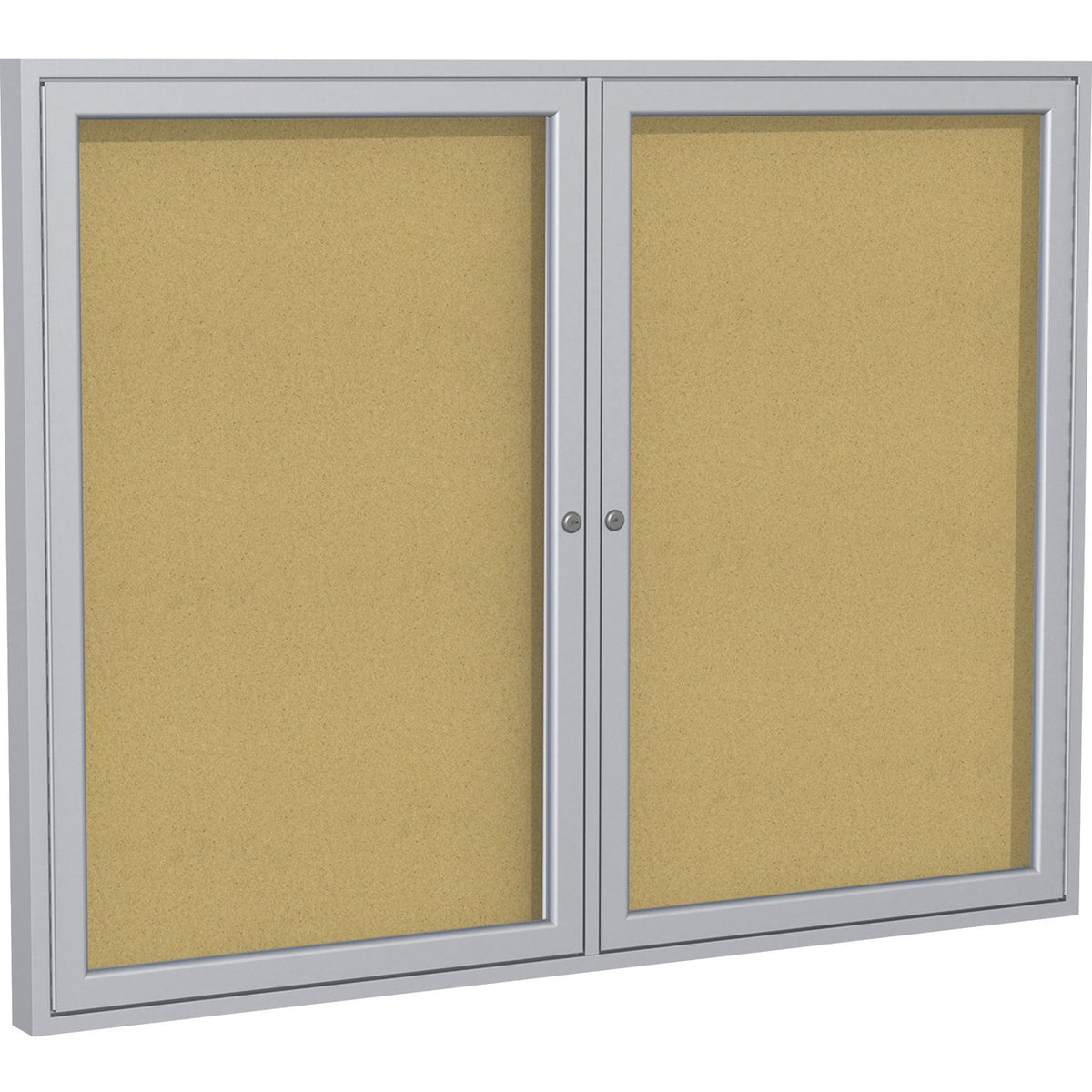 Board Enc 2Dr Alm 48X60 Crk