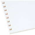 GBC Paper Prepnchd Proclk 250Sh