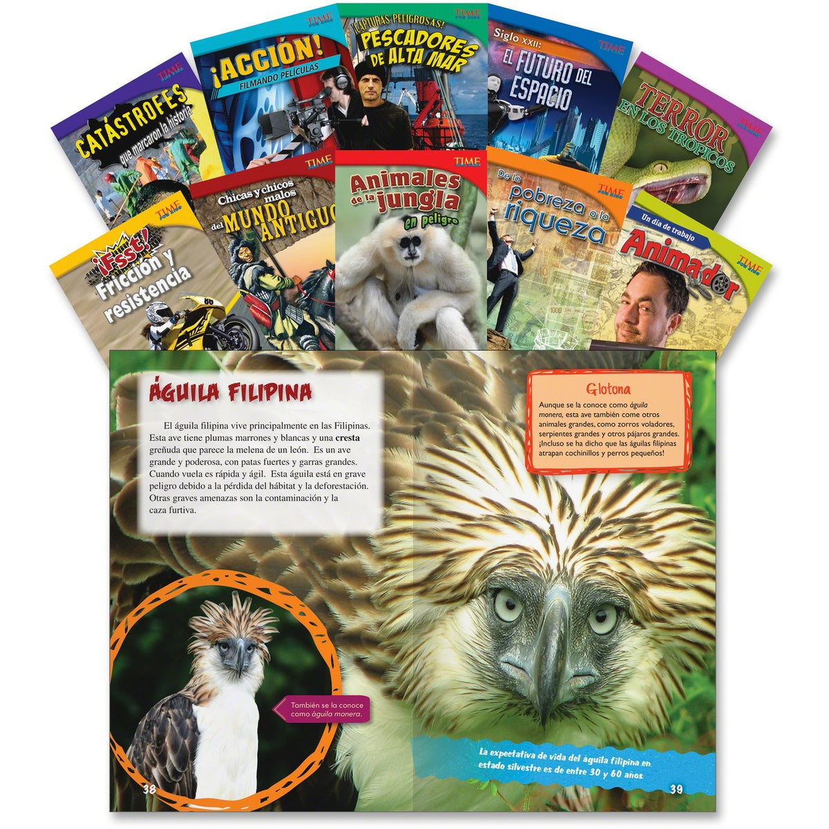 Shell Education Time For Kids Spanish Content Books Printed Book