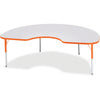 Table Kidney 48X72 Gy/Oe
