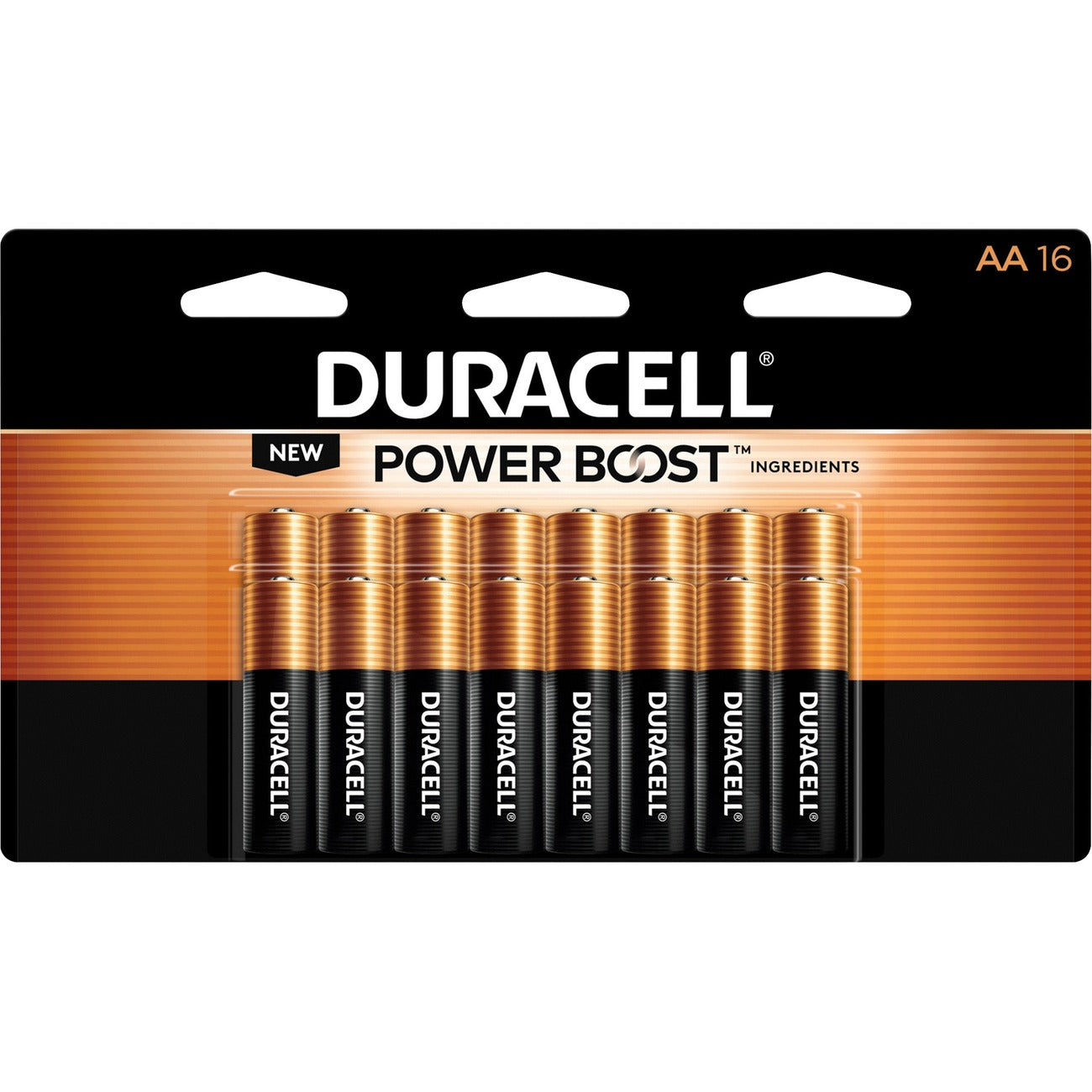 Battery Coppertop Aa 16Pk