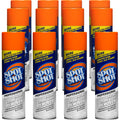 Spot Shot Professional Instant Carpet Stain Remover