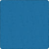 Rug Clsrm Seat Solid Amclrs