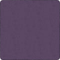 Rug Clsrm Seat Solid Amclrs