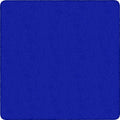 Rug Clsrm Seat Solid Amclrs