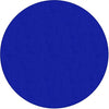 Rug Clsrm Seat Solid Amclrs