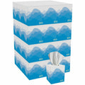 Georgia-Pacific Tissue Facial Cube