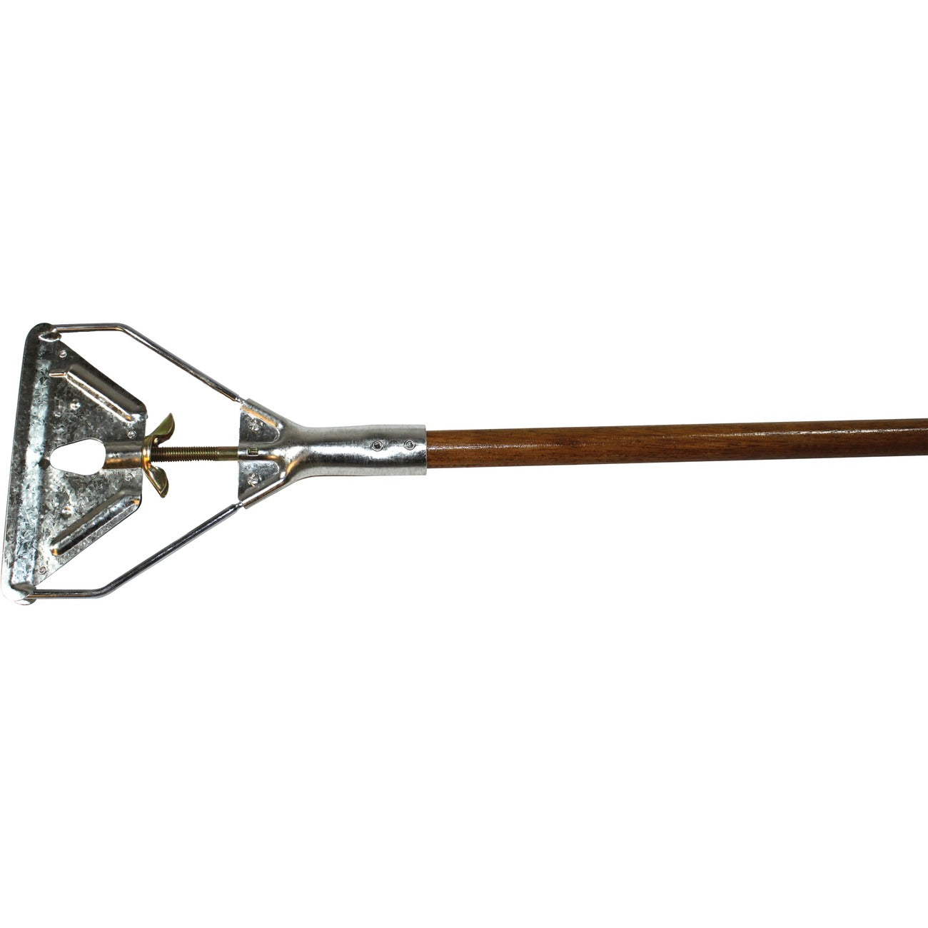 Pitcher Plt Baseball