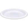 Genuine Joe Plates Plastic 10.25"-Wwe