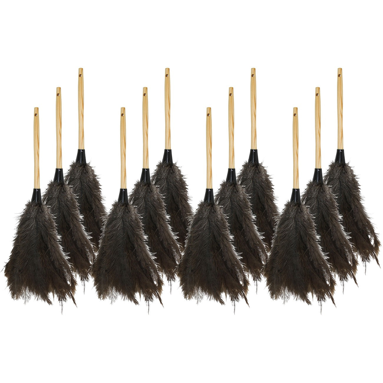 Genuine Joe Duster Feather 18'