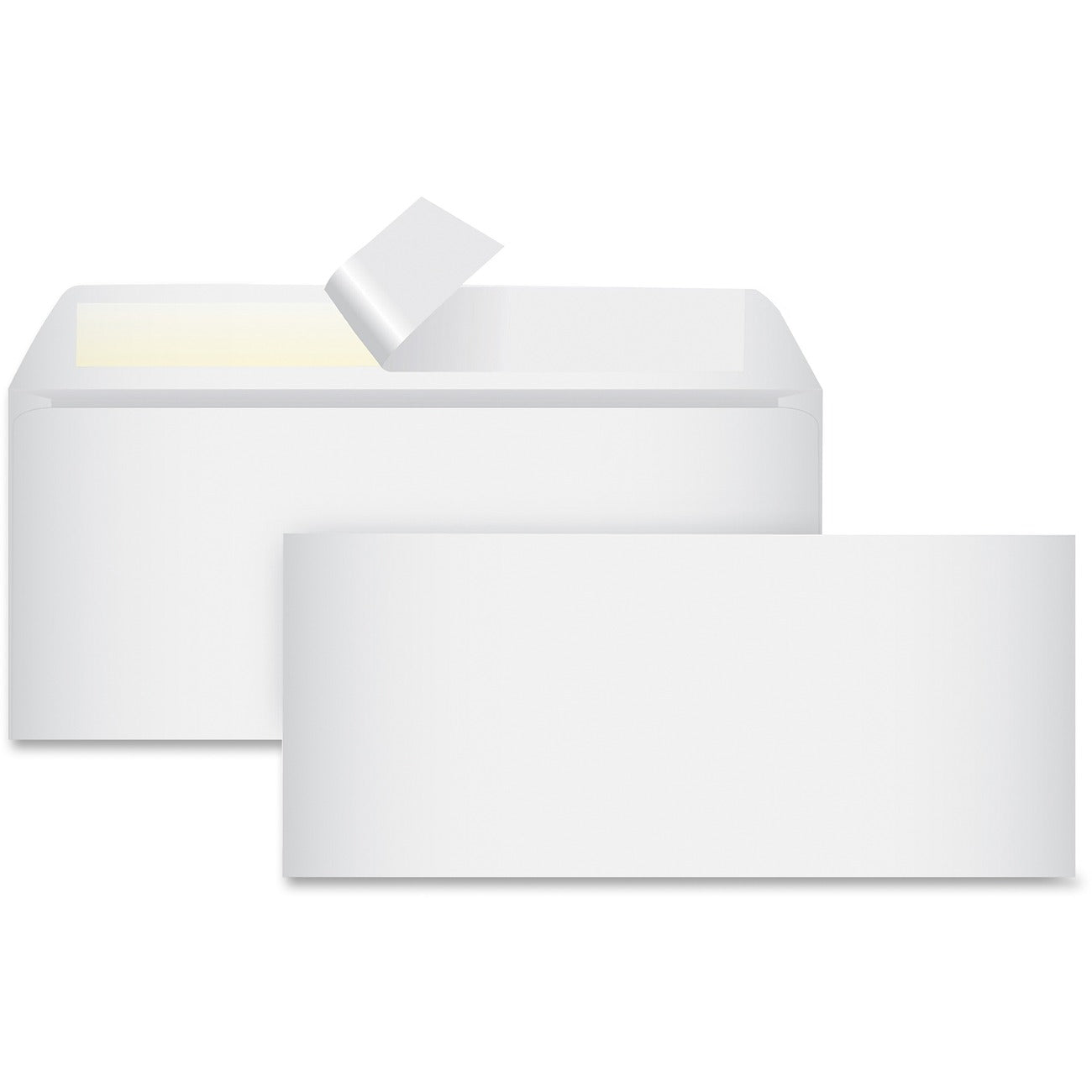 Business Source Envelope Redistrip #10 Reg
