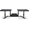 Stand Monitor Dual Ergo Bk