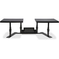 Stand Monitor Dual Ergo Bk