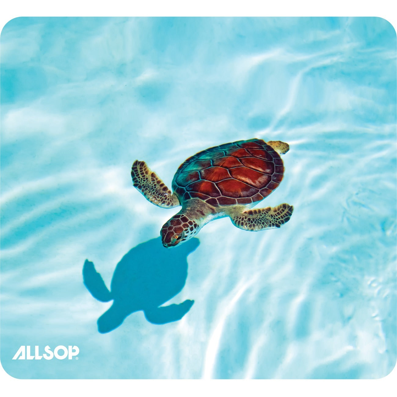 Mouse Pad Image Turtle