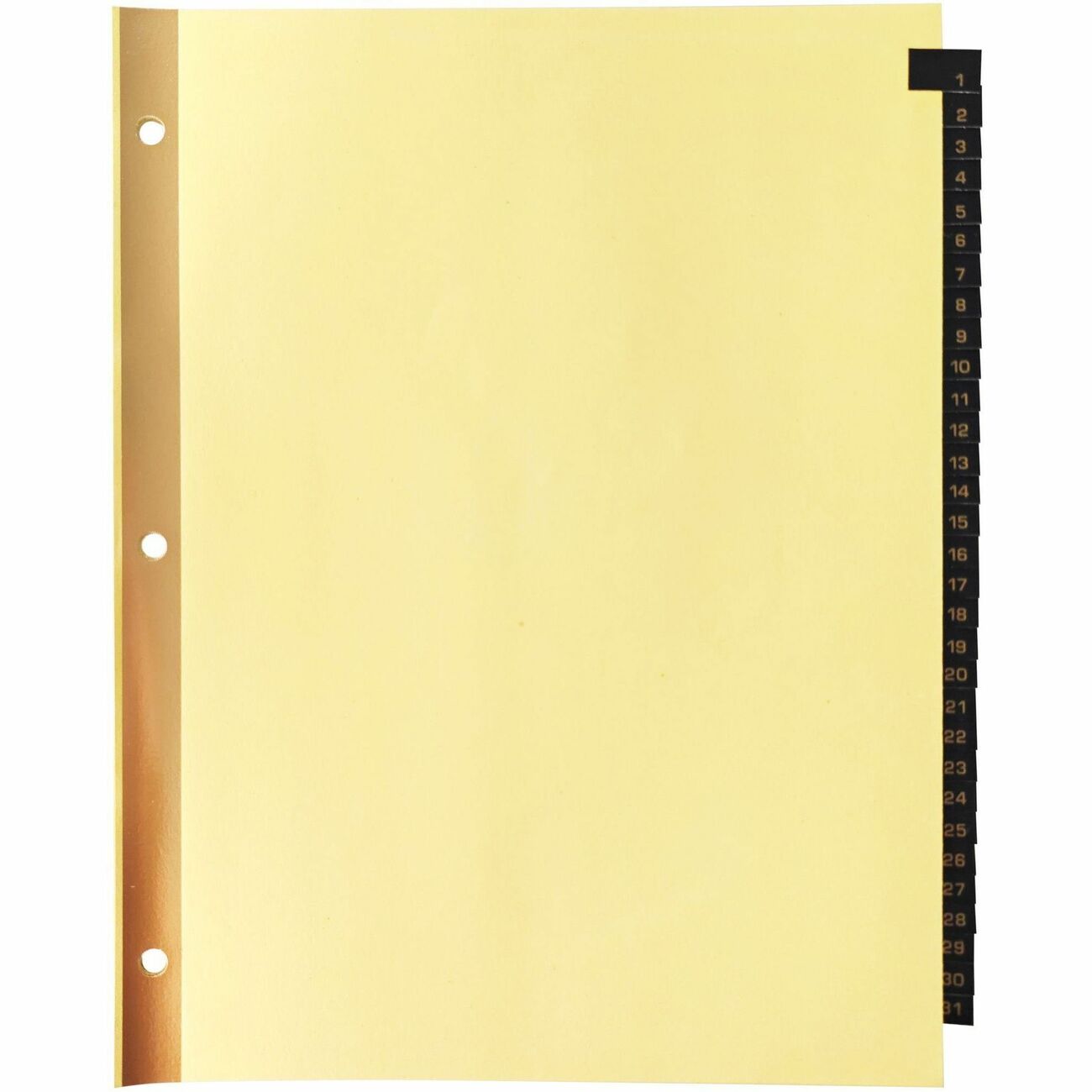 Business Source Divider Leather Tabs 1-31