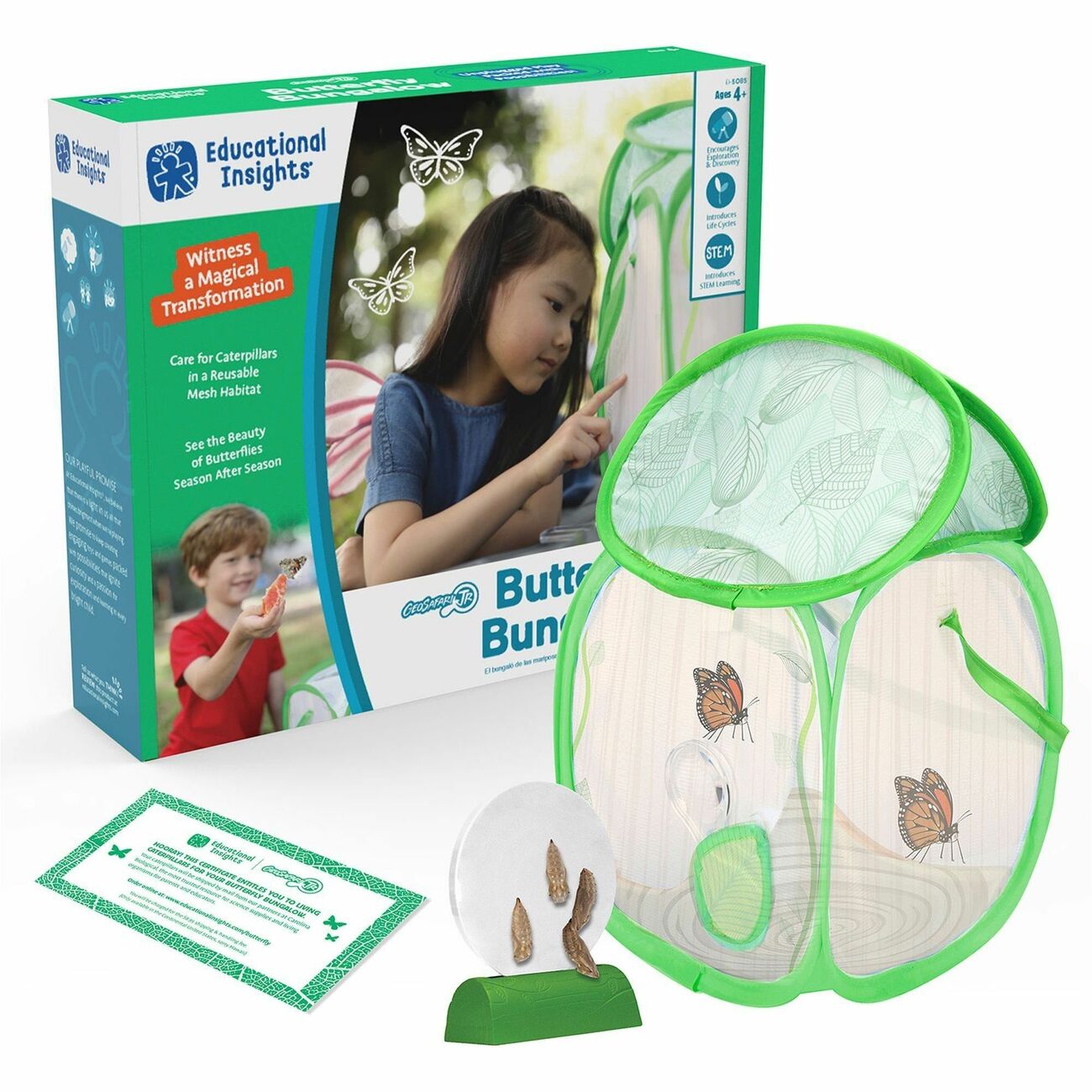 Kit Butterfly Geosafari
