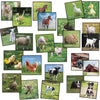 Set Stw&Go Sqres Animal