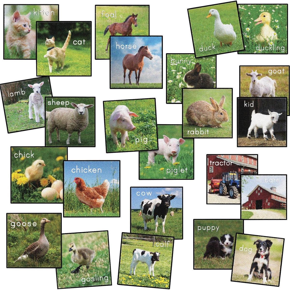 Set Stw&Go Sqres Animal